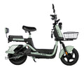Bicicleta Eléctrica E-Max Gw 800W