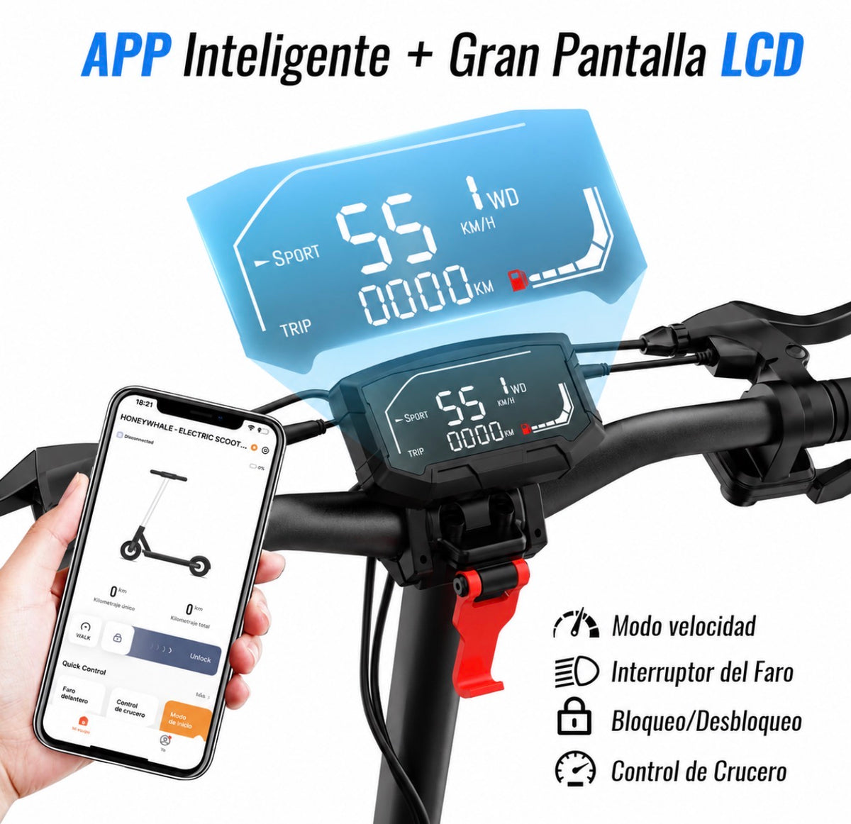Honey Whale Scooter Eléctrico T4-BN