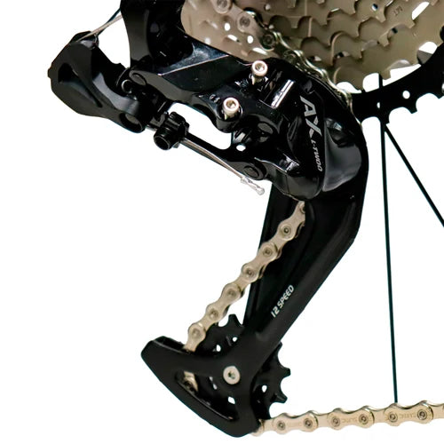Bicicleta GW Hyena R29 12Velocidades Frenos Hd. Suspensión GW Remoto + Obsequio