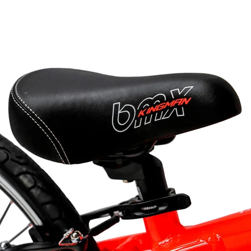 BICICLETA BMX RACING PROFIT KINGMAN JUNIOR